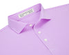 Holderness & Bourne Perkins Polo in Thistle/White